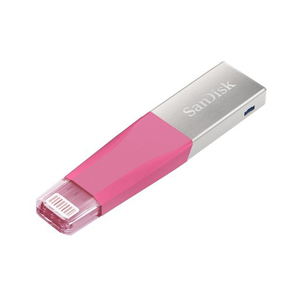 SanDisk SDIX40N-128G-GN6NG